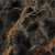 Naxos Rhapsody 117455 Caravaggio Gold 60x60 Naxos Rhapsody 117455 Caravaggio Gold 60x60