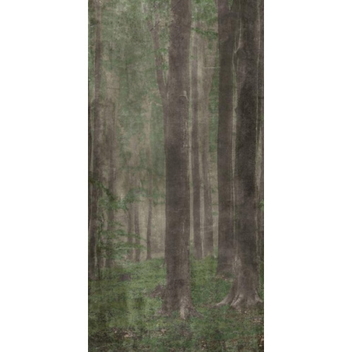 ABK Wide & Style 0009507 Woods A 120x280