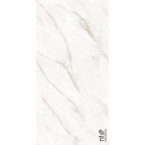 NT Ceramic Marmo NTT99525P Empire Pearl Endless 60x120