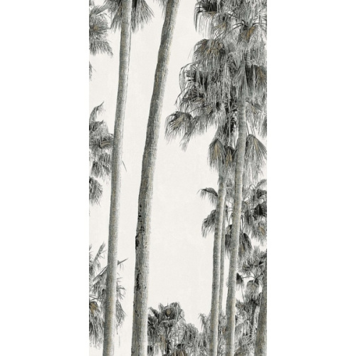 ABK Wide & Style 0009392 Hollywood A 120x280