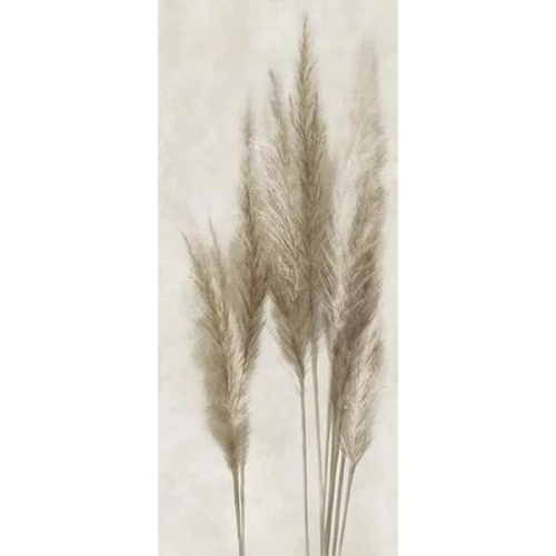 Caesar Deco Solutions AGUJ Pampa Faccia C 120x278