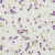 Colori Viva Crystal CV11008 30x30