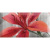 Absolut Keramika Monocolor Mix Flowers RBW 1 7.5x15