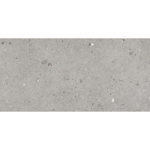 Provenza Ego EHVU Grigio 20mm Nat Ret 60x120