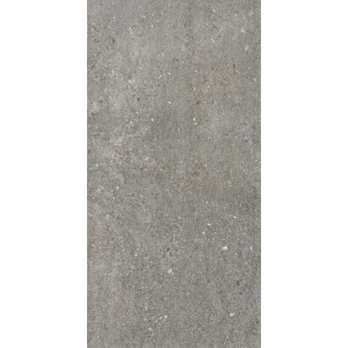 Ariostea Astra Full Body PMS612655 Fog Antslip 20mm 60x120