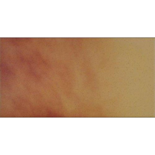 Cerrad Jesienny Lisc/Autumn Leaf 5903263446606 Floor 14,8x30