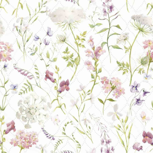 Axima Луизиана D 60x60