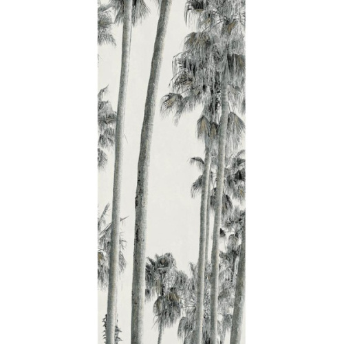 ABK Wide & Style 0009389 Hollywood A 160x320