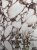 Xlight Viola Rosse Polished (6 мм) 120x120