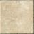 Serenissima Cir Marble style Fiorito Beige 10x10