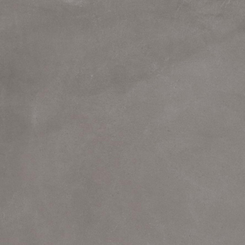 Caesar Prima AGNW Lead 80x80