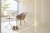 Ariostea Ultra Marmi Luxury White Lucidato Shiny 150 75x150