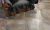 Roberto Cavalli Home Tanduk MPV049 Naturale Rett Conchiglia Firma 60x60