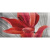 Absolut Keramika Monocolor Mix Flowers RBW 3 7.5x15