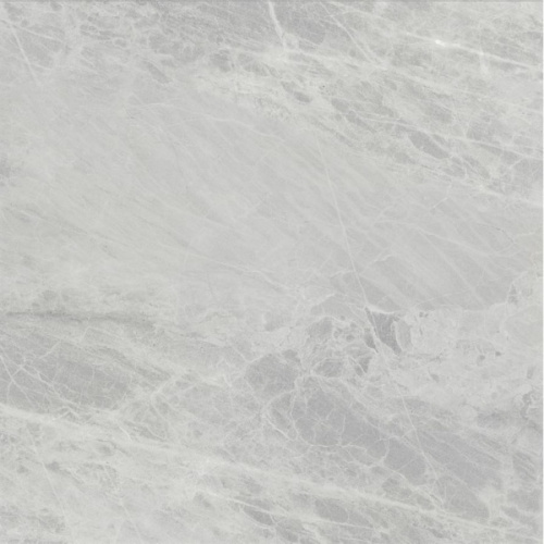 Ariostea Marmi Classici PL6498 Gris De Savoie Polished 8mm 60x60