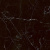 QUA Granite Sombra Black 60 60x60