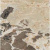 Casa Dolce Casa Onyx&amp;More 766016 Golden Blend Glo 6mm Ret 80x80