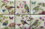 Amadis Fine Tiles Botanic Bird Decors 6pz 15x15