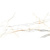 Laparet Calacatta Milan Полированный 120 60x120