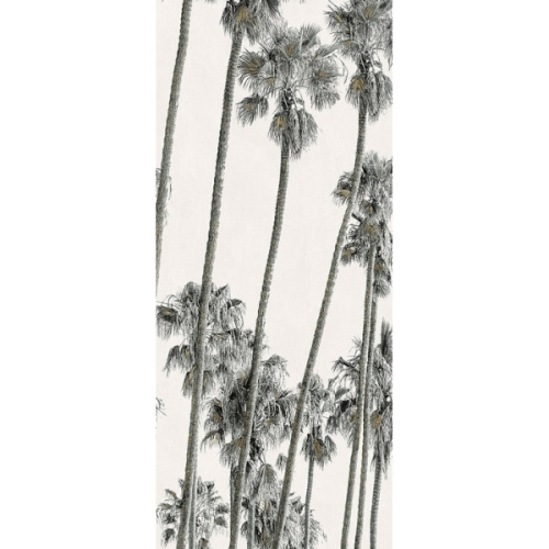 ABK Wide & Style 0009394 Hollywood C 120x280