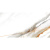 Colorker Calacatta Gold White Pulido Rect 60x120