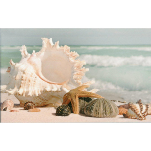 М- Квадрат Адриатика 121915 Ракушки 25x40