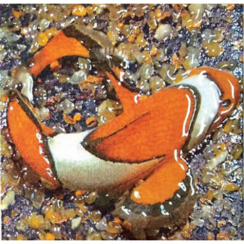 М- Квадрат Адриатика 751962/1 Рыбка 10x10