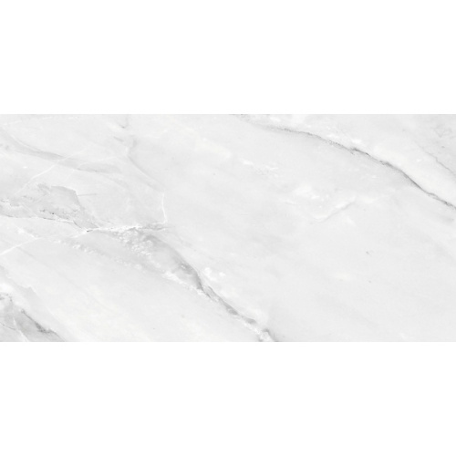 Absolut Gres Aquarelle AB 1187G Grey Gloss 60x120