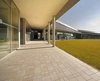 Agora