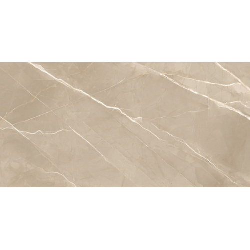 New Trend Essential 60120ESE21P Marron Полированный 60x120