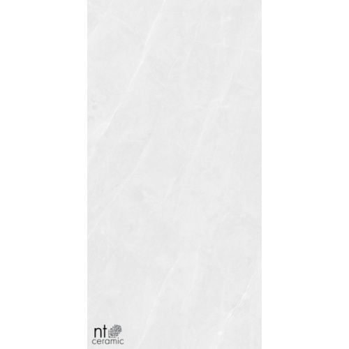 NT Ceramic Granite NTT99618M Limestone White Structura 60x120