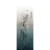 Cotto D’Este Wonderwall Ballet C 100x300