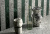 41zero42 Brutus 4101316 Guatemala Mosaic 30x30 - керамическая плитка и керамогранит