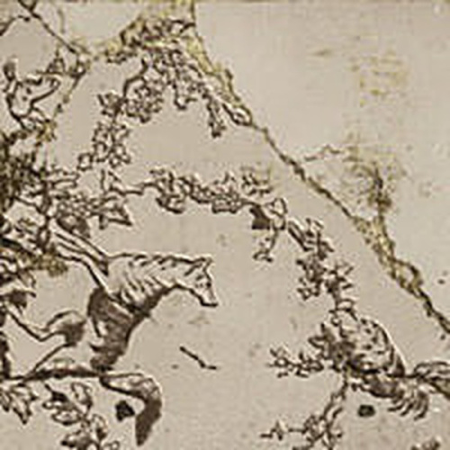 Iris Ceramica Belike 563559 Brown Patch 20x20