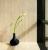 Travertine