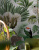Ornamenta Cityscape CS60120FD Foliage Dune 60x120