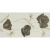 Rodnoe Dorati Decor Siena Beige 25x50 Rodnoe Dorati Decor Siena Beige 25x50