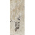 Casa Dolce Casa Onyx&amp;More 766032 Golden Blend Glo 6mm Ret 120x280