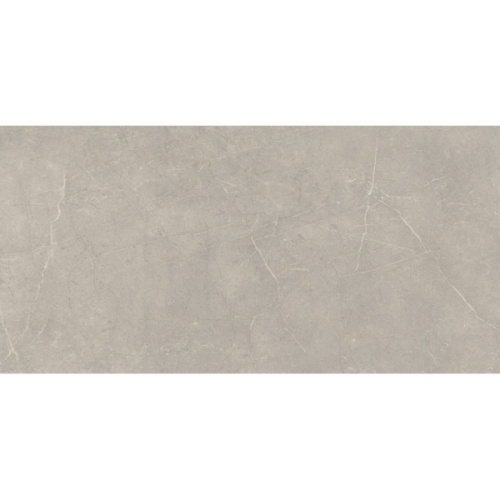 Cerdomus Mexicana 65282 Silver Matt Rett 60x120