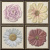 Stratos (Heralgi) Garden Flor Warm 15x15