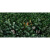 Panaria Glam PG9GM9D Greenwall D 50x100