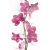 Cerrol Imperia Orchis 80x50 Cerrol Imperia Orchis 80x50