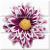 Absolut Keramika Aure Flowers Composicion Flowers 45x45 Absolut Keramika Aure Flowers Composicion Flowers 45x45