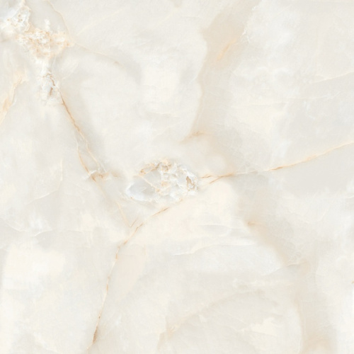 Staro Slab 120x120 Ostra Bianco Elegance Polished 120x120