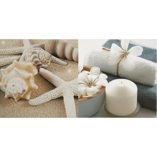 Ape ceramica Blancos Decor Caracola Brillo 31,6x63,2