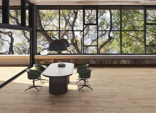 Peronda Verbier 32079 Ash AS/C/R 19,5x121,5