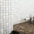 Natural mosaic Shell SME-04 30x30