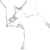 Laparet Statuario Crown Белый Полированный 60 60x60