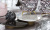 Roberto Cavalli Home Lush 0509152 Noir Antique Mos 29,6x29,6