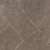 Staro Oasis Detroit Brown Polished 60x60 Staro Oasis Detroit Brown Polished 60x60